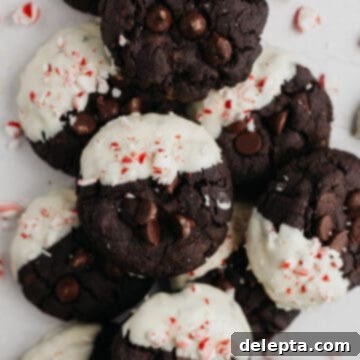 Festive Peppermint Bark Delights 8 A pile of chocolate cookies that have been dipped in white chocolate and sprinkled with pieces of candy cane.