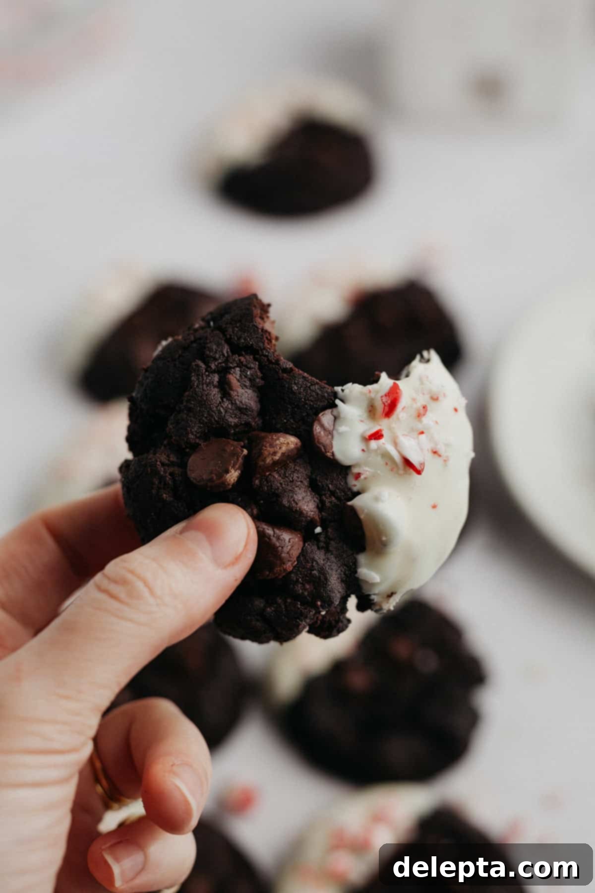 Festive Peppermint Bark Delights 6 A hand holding a peppermint bark cookie with one bite taken out.