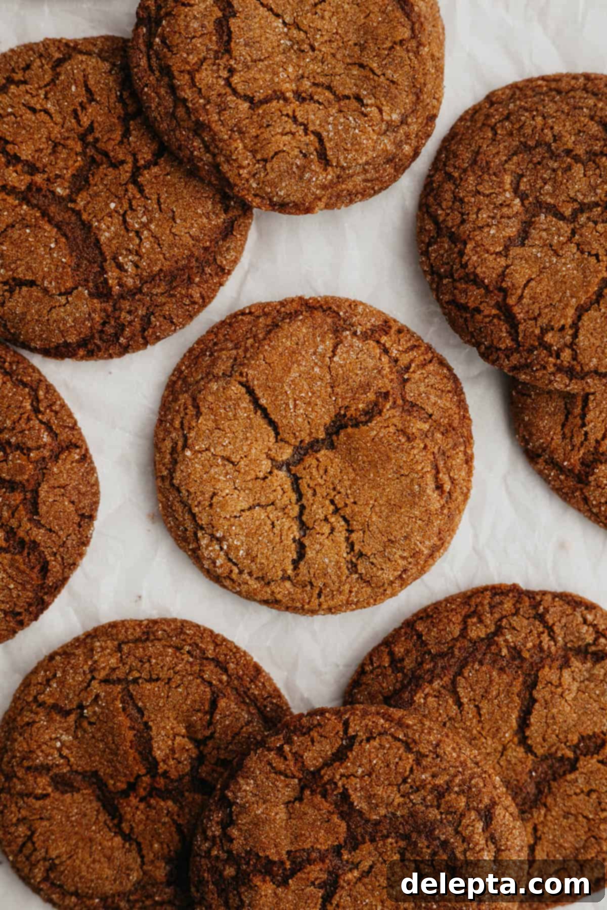 Chewy Spiced Molasses Crinkles 2 Ginger molasses crinkle cookies on parchment paper, showcasing their beautiful crackled tops and sugar coating.