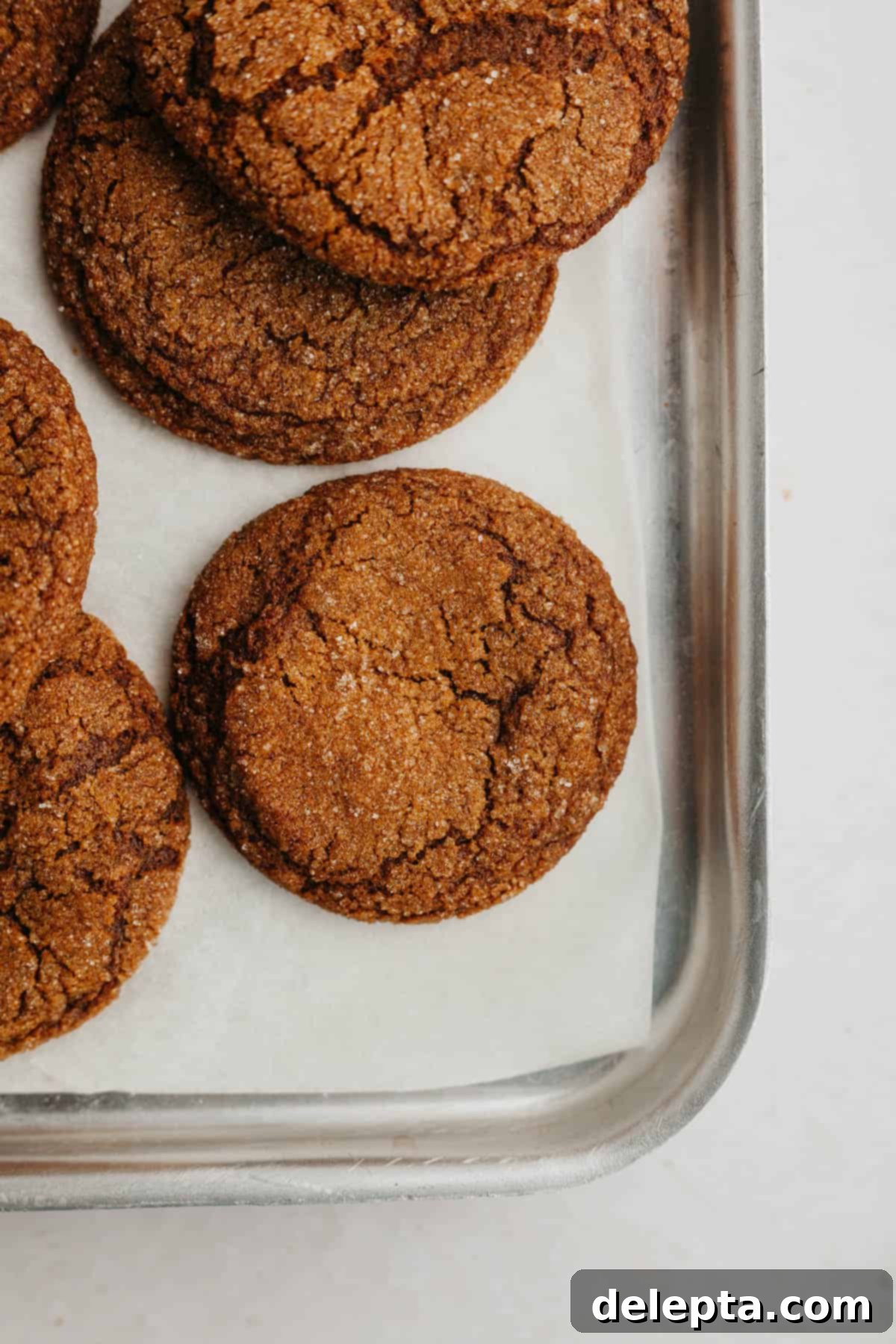 Chewy Spiced Molasses Crinkles 7 A baking sheet filled with freshly baked molasses crinkle cookies, showing their perfect golden-brown edges and distinctly crackled surfaces.