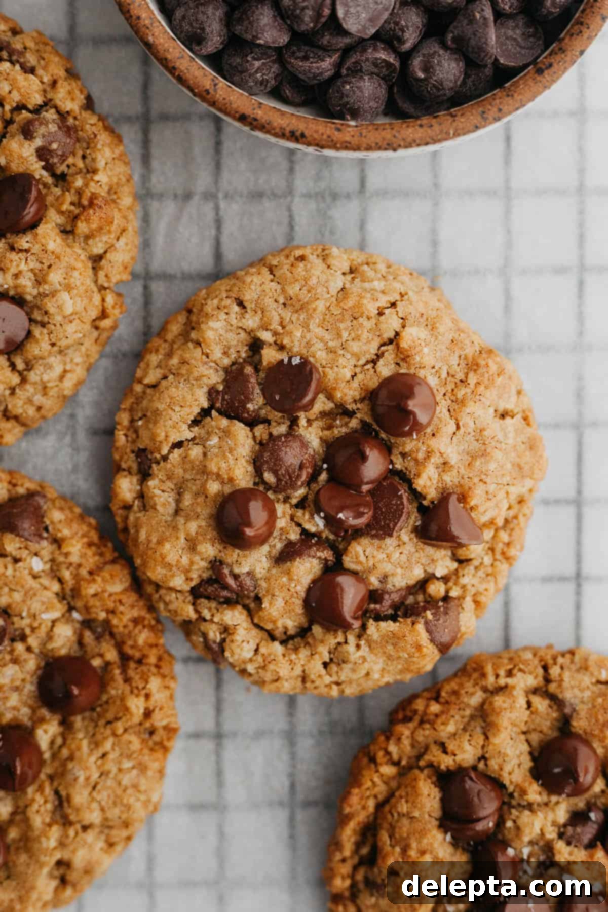 Chewy Oatmeal Chocolate Chip Cookies for Two 2 Freshly baked small batch oatmeal chocolate chip cookies cooling on parchment paper.