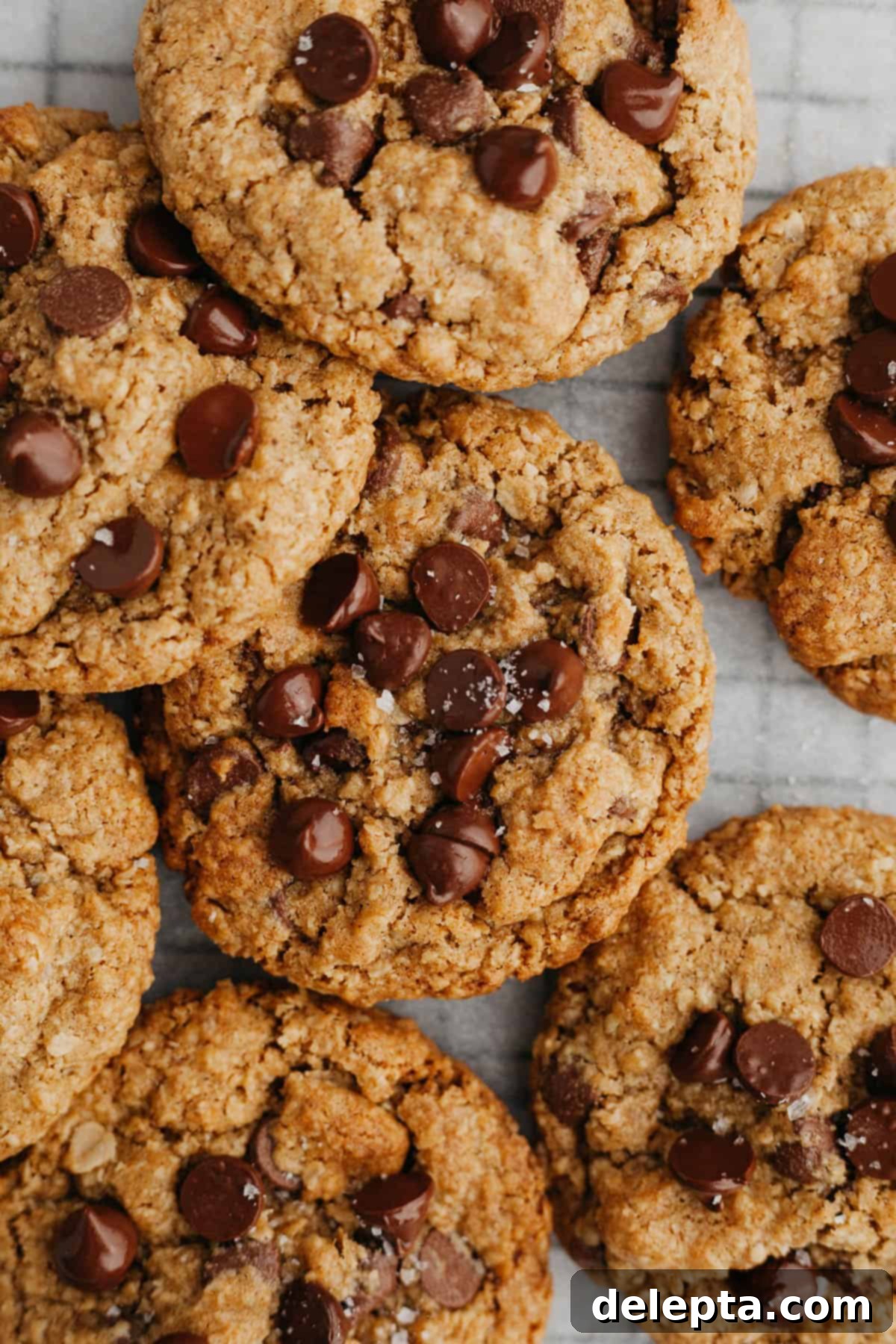 Chewy Oatmeal Chocolate Chip Cookies for Two 6 Perfectly baked oatmeal chocolate chip cookies cooling on parchment paper.