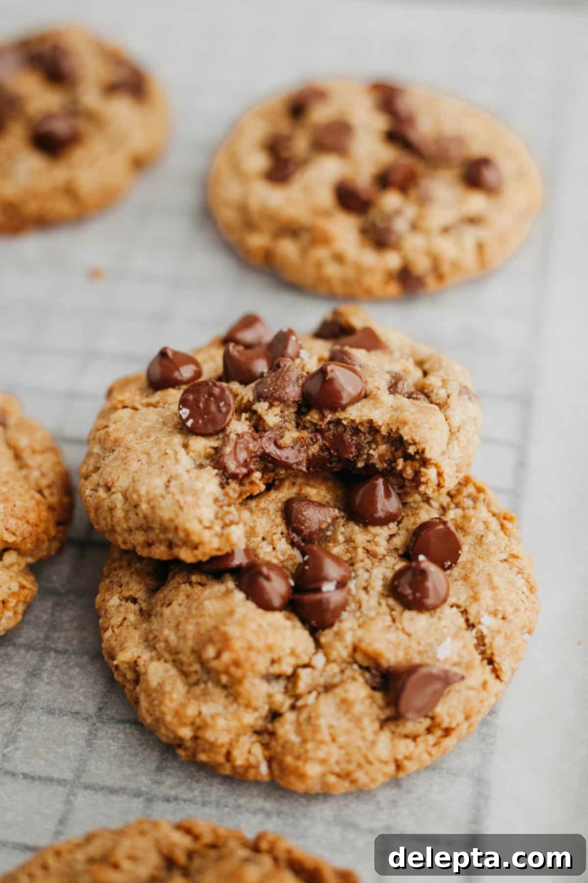 Chewy Oatmeal Chocolate Chip Cookies for Two 7 Two soft and chewy chocolate chip oatmeal cookies on parchment paper, one with a bite taken out, highlighting the delicious texture.