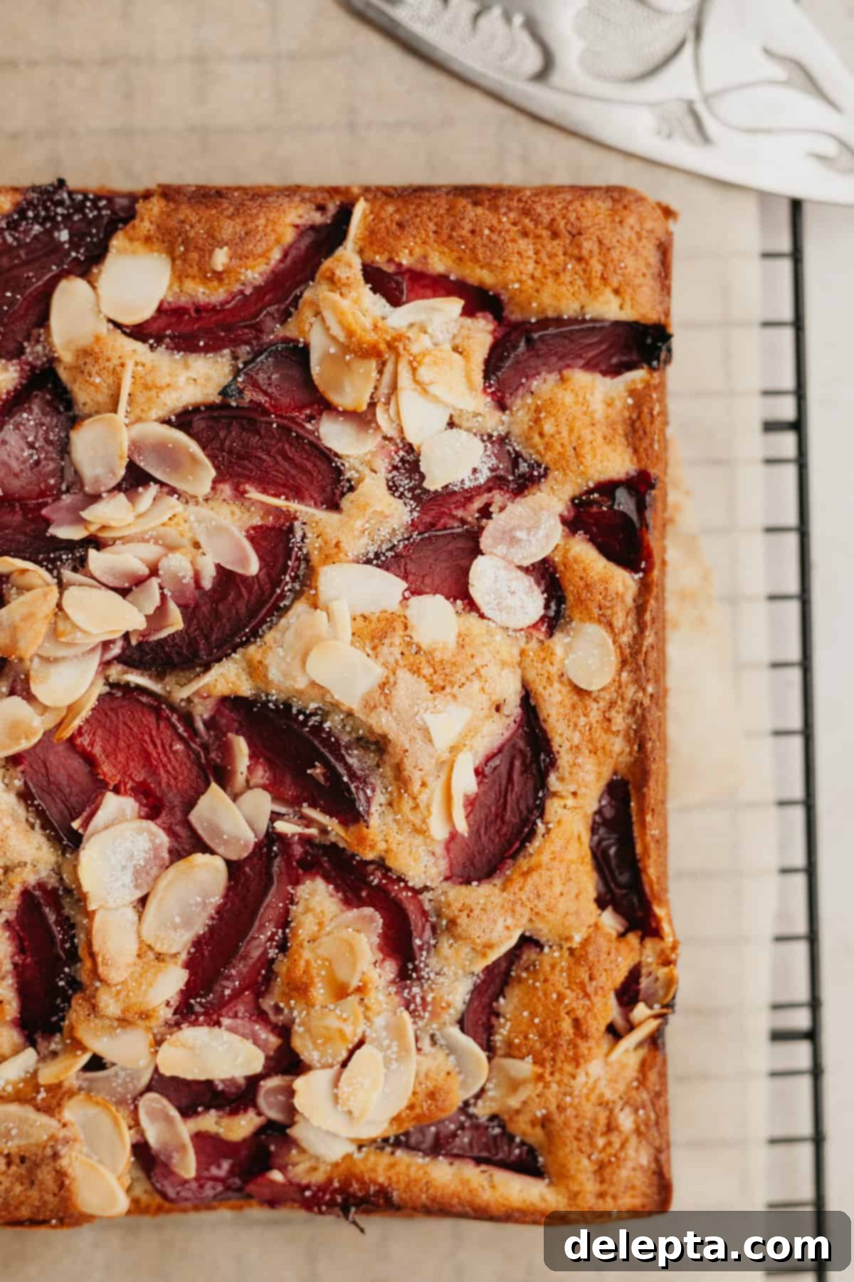 Luscious Plum and Yogurt One Bowl Cake 2 An overhead shot of a square plum yogurt cake on parchment paper, showcasing its golden-brown crust and juicy plum topping.