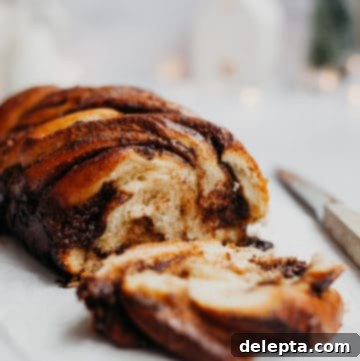 Spiced Chocolate Gingerbread Babka 4 a babka with one slice