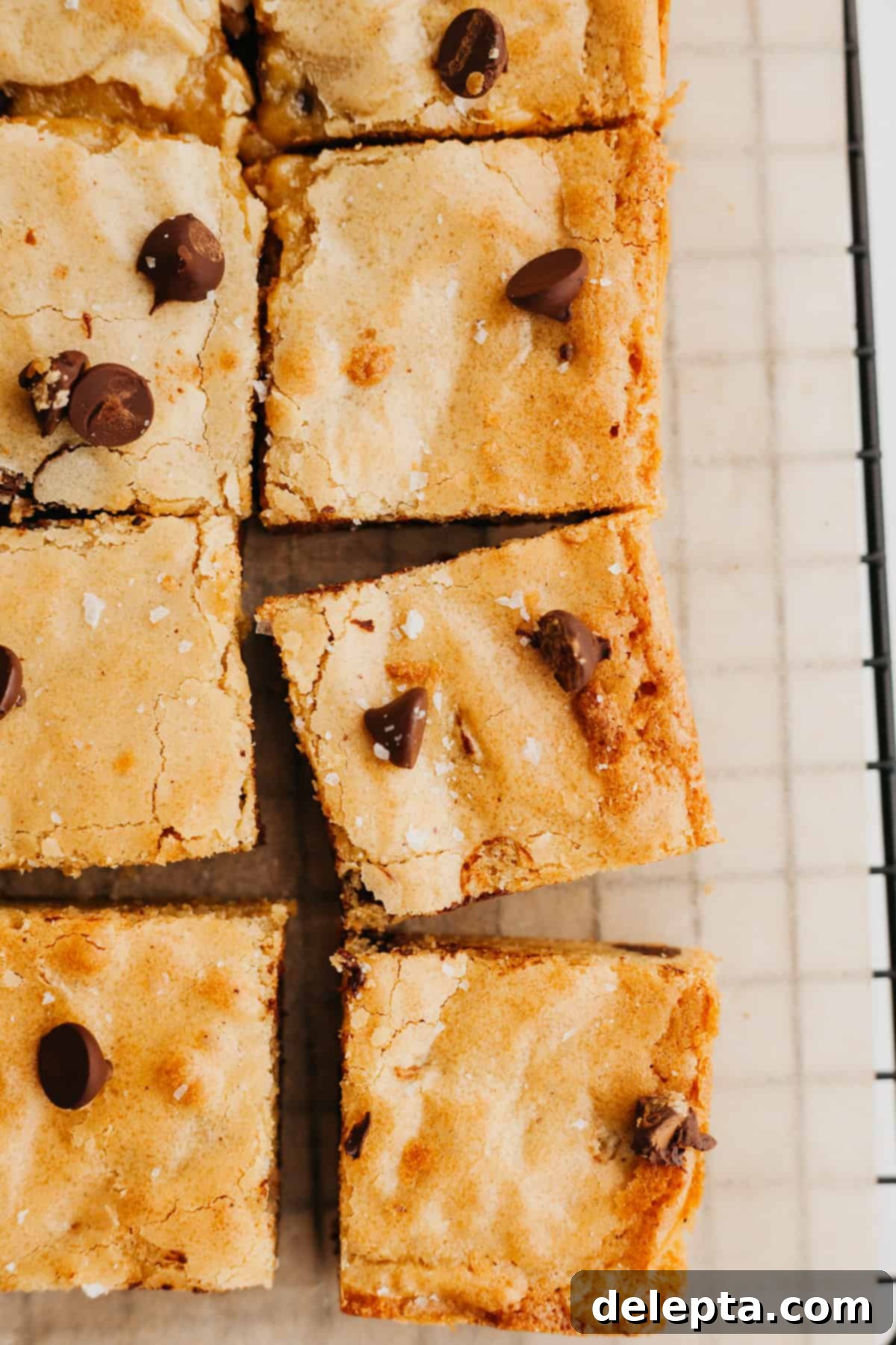 Caramelized Brown Butter Blondies Simple Perfection 6 An inviting overhead shot of perfectly sliced brown butter blondies with melted chocolate chips, resting on parchment paper.
