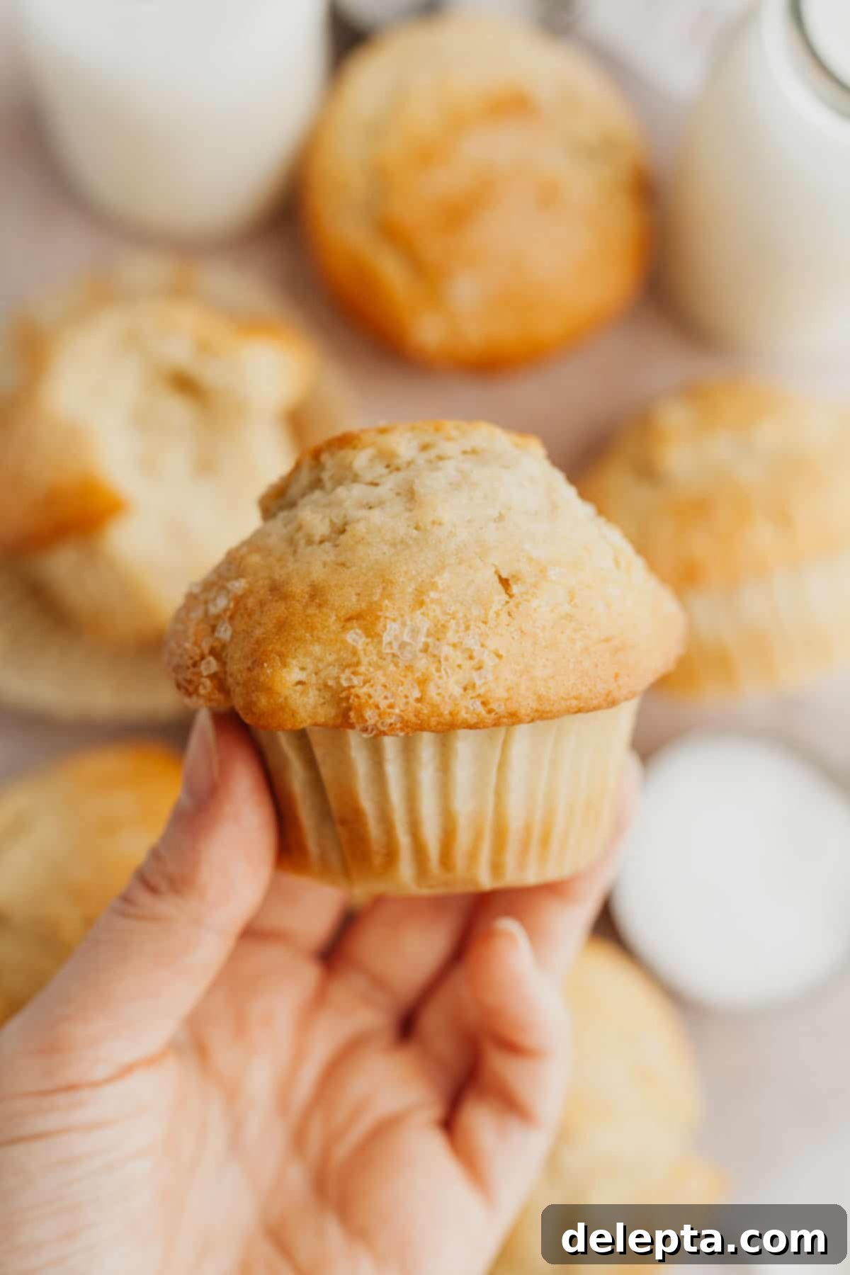 Bakery Style Moist Vanilla Muffins 2 A hand holding a perfectly baked, moist vanilla muffin with a golden-brown top.