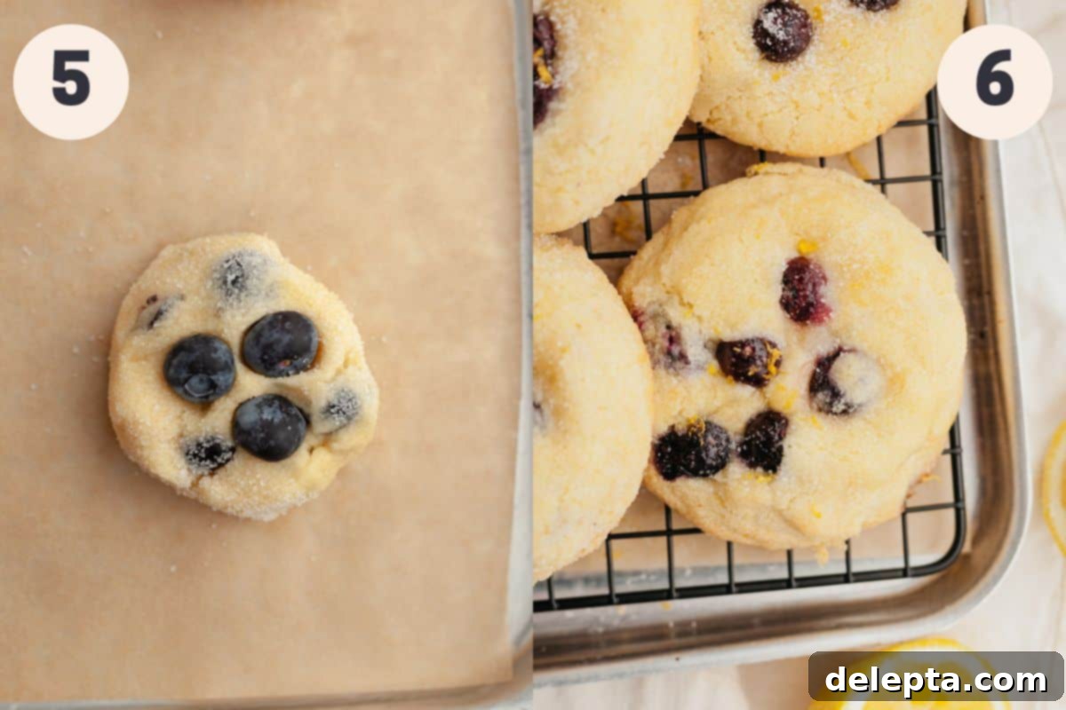 Pillowy Lemon Blueberry Delights 6 Steps 5 and 6 in the lemon blueberry baking process: shaping cookies and baking them.