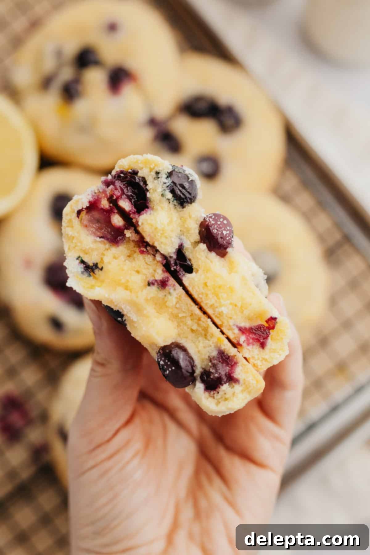 Pillowy Lemon Blueberry Delights 8 A hand holding a blueberry lemon cookie that has been cut in half, revealing its tender texture and juicy berries.