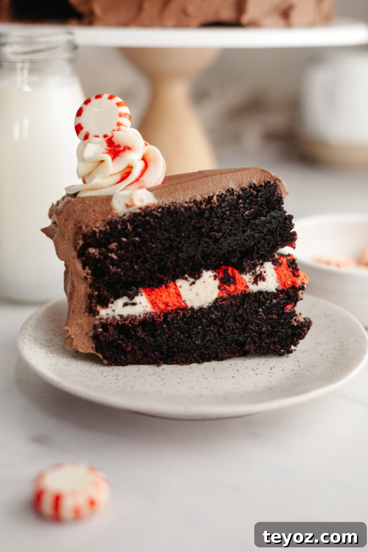 A beautifully decorated slice of mocha peppermint cake on a white plate, showcasing the chocolate layers, vibrant red and white candy cane striped filling, and creamy mocha frosting. The top is adorned with festive swirls.