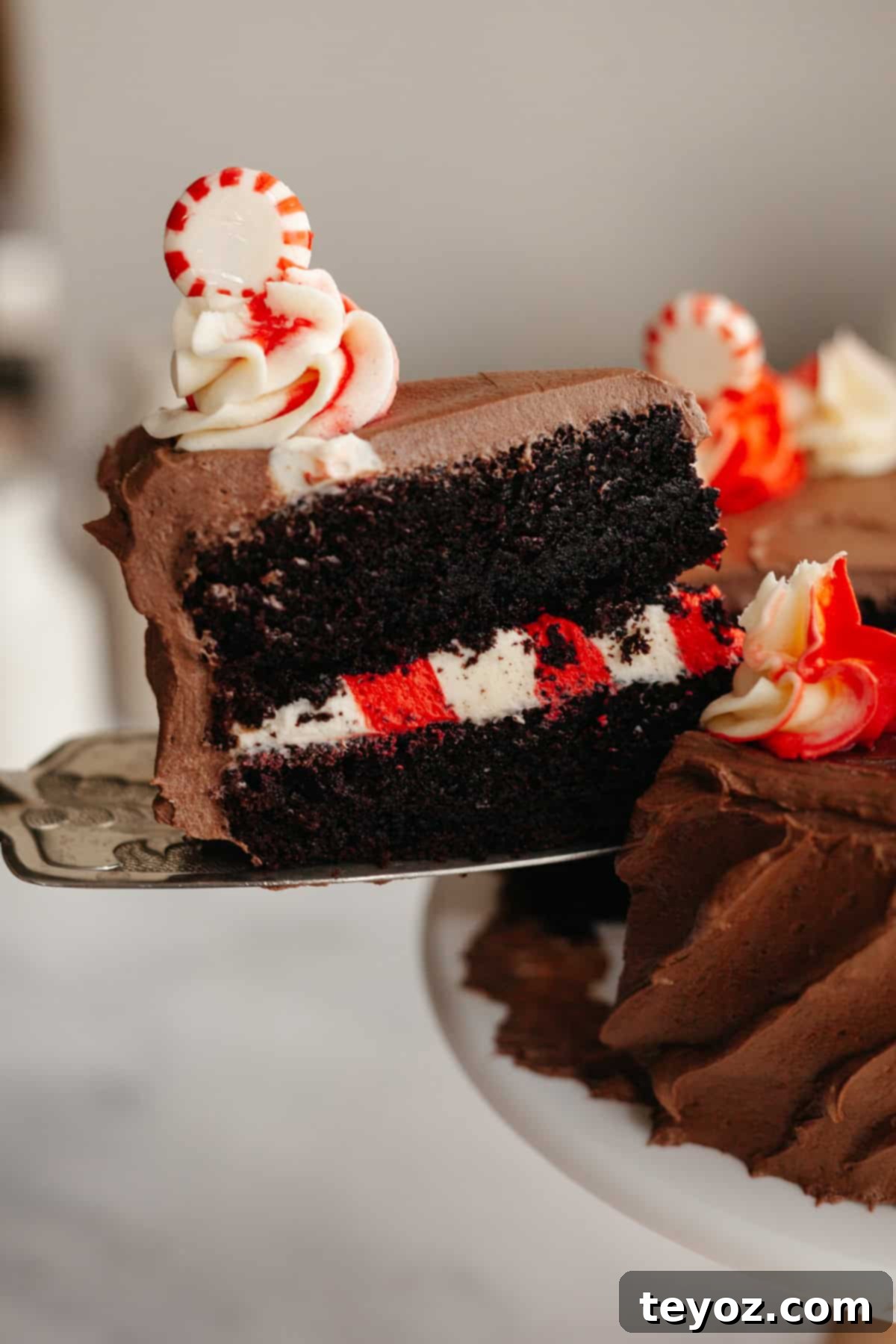 A delicious slice of chocolate peppermint mocha cake being carefully lifted out with a cake server, revealing its vibrant and enticing inner layers, ready to be enjoyed.