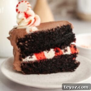 A delicious slice of peppermint mocha cake on a small white plate, showcasing the chocolate layers, candy cane filling, and mocha frosting, ready to be savored.