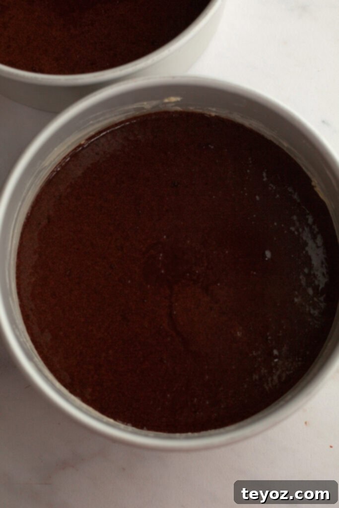 Two 8-inch round cake pans meticulously prepared and filled with rich, unbaked chocolate cake batter, patiently awaiting their turn in the oven.