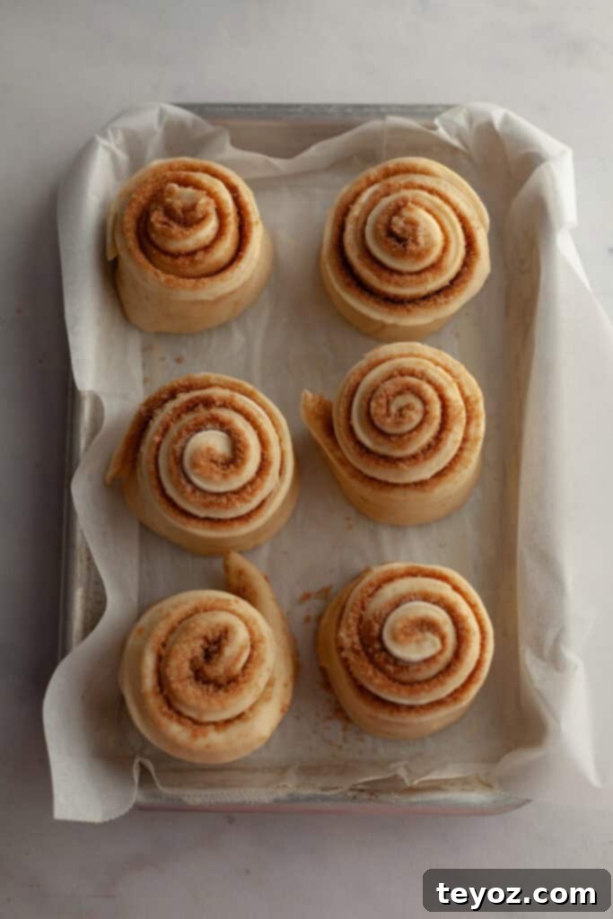 Six unbaked cinnamon buns neatly arranged on a lined sheet pan, awaiting their final rise and bake.