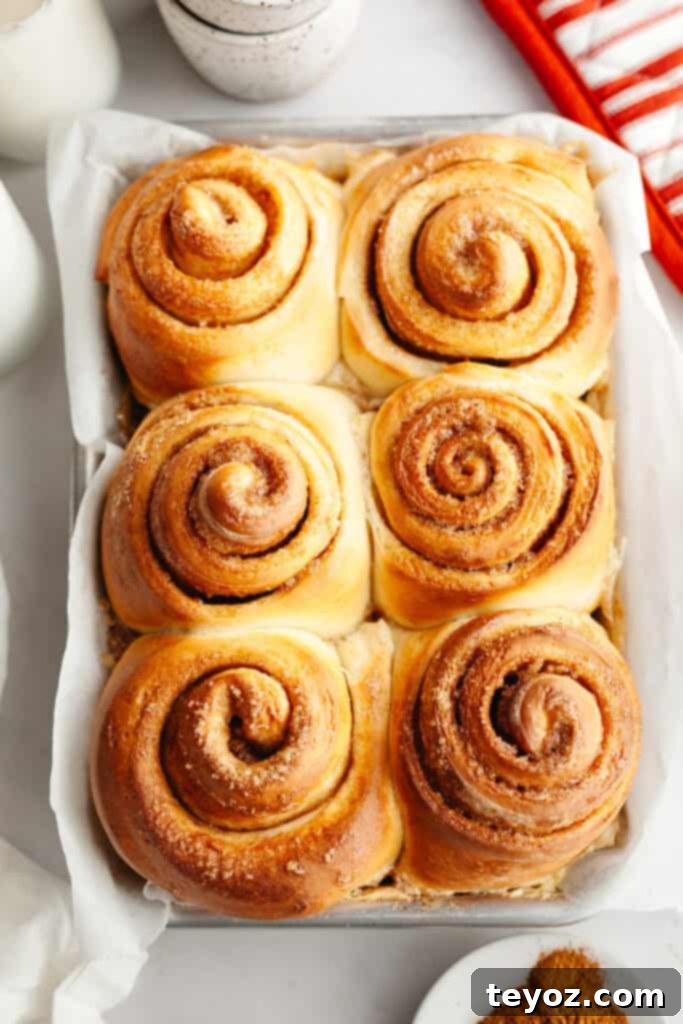 Six baked cinnamon buns in a small pan, golden brown and perfectly risen, before frosting.
