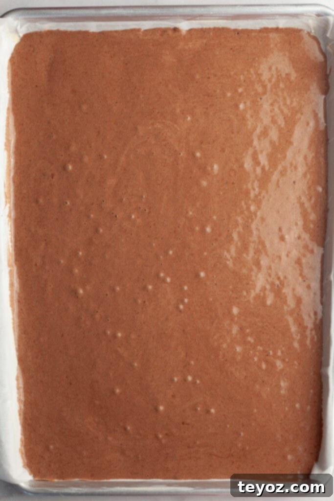 Aşağıdaki başlığı İngilizce'ye çevir ve özgünleştir: Black Forest Yule Log (Bûche de Nöel) Dark Chocolate Cherry Yule Log 7 A half sheet pan with unbaked chocolate cake batter, ready for the oven and promising a delicious chocolate sponge.