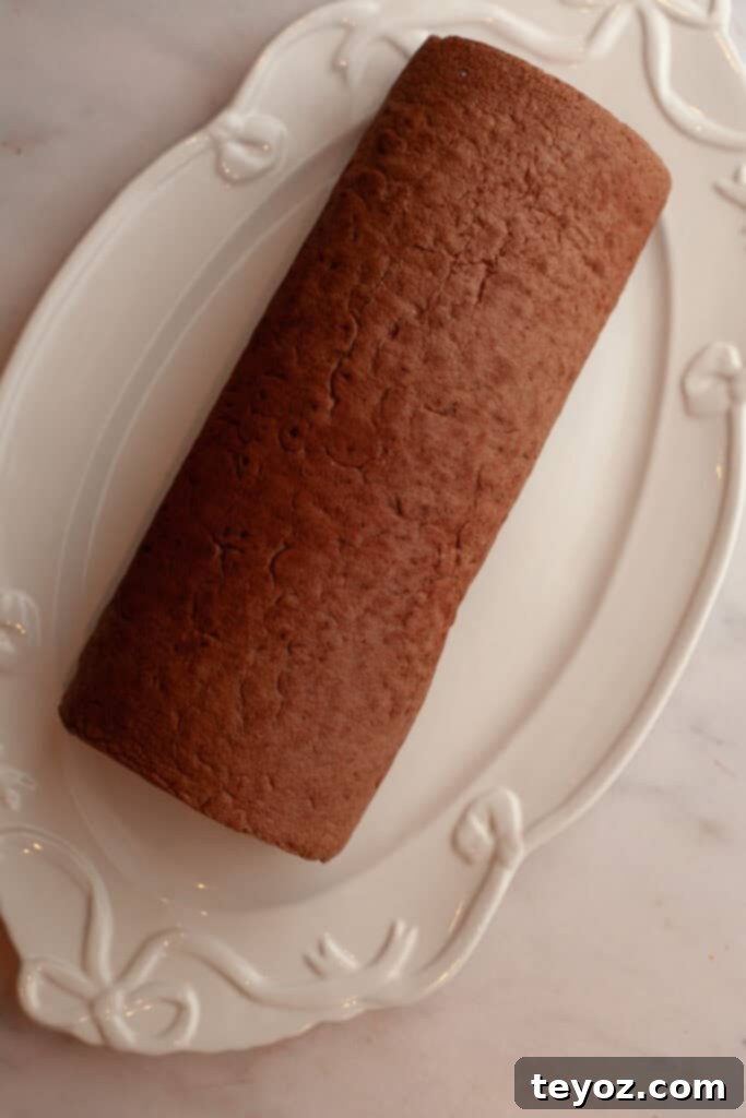 Chocolate Peppermint Dream Yule Log 9 A beautifully rolled chocolate Swiss roll cake elegantly presented on a white platter.