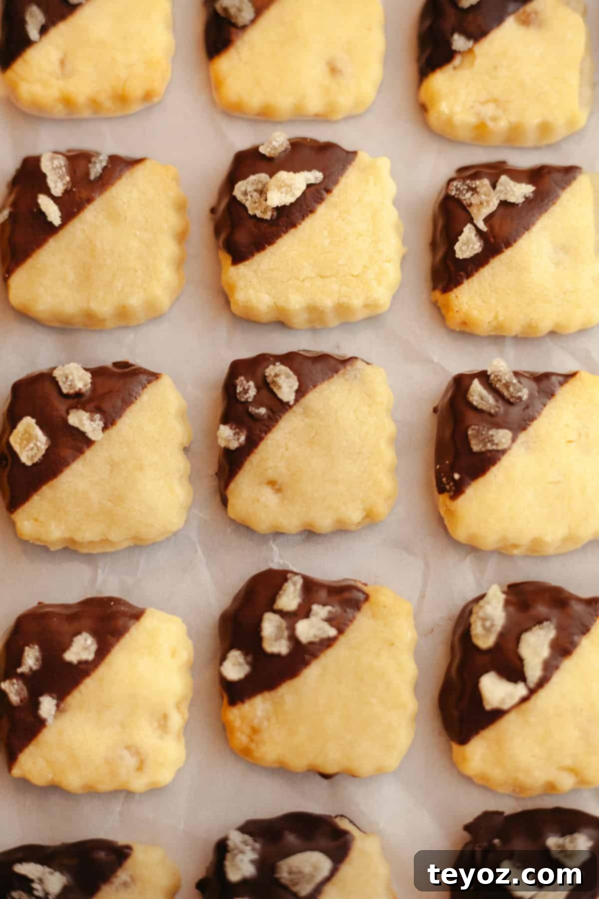 Double the Zing: Ginger Snap Delights 2 Rows of ginger shortbread cookies, beautifully half-dipped in chocolate and sprinkled with crystallized ginger.