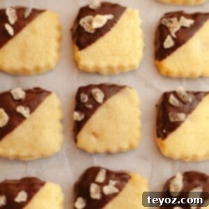 Three elegant rows of homemade ginger shortbread cookies, delicately half-dipped in luscious chocolate and adorned with crystallized ginger.