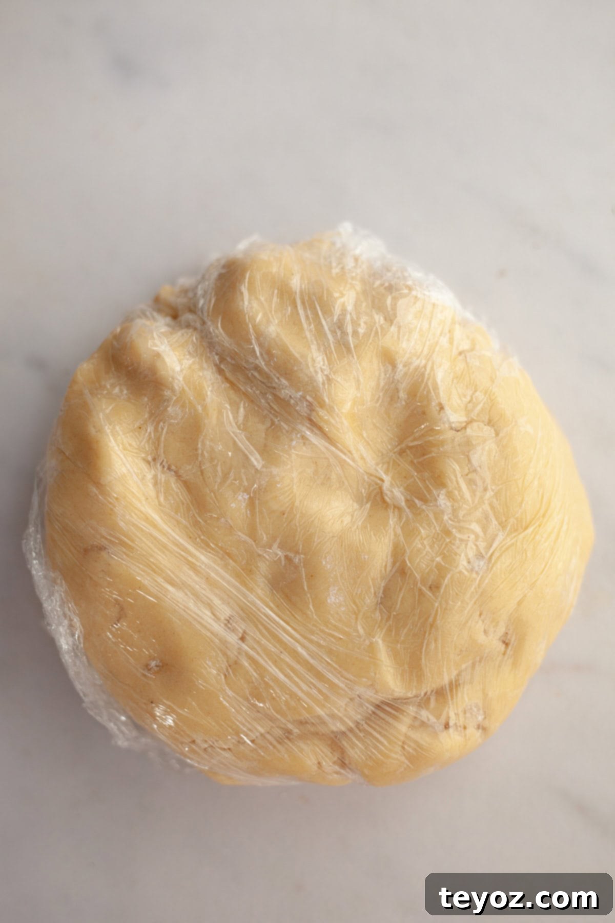 Double the Zing: Ginger Snap Delights 7 Ginger cookie dough wrapped tightly in plastic wrap.